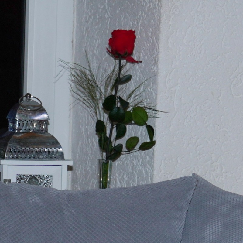 Betriebsferien nur von 13. bis 17. Februar 2026